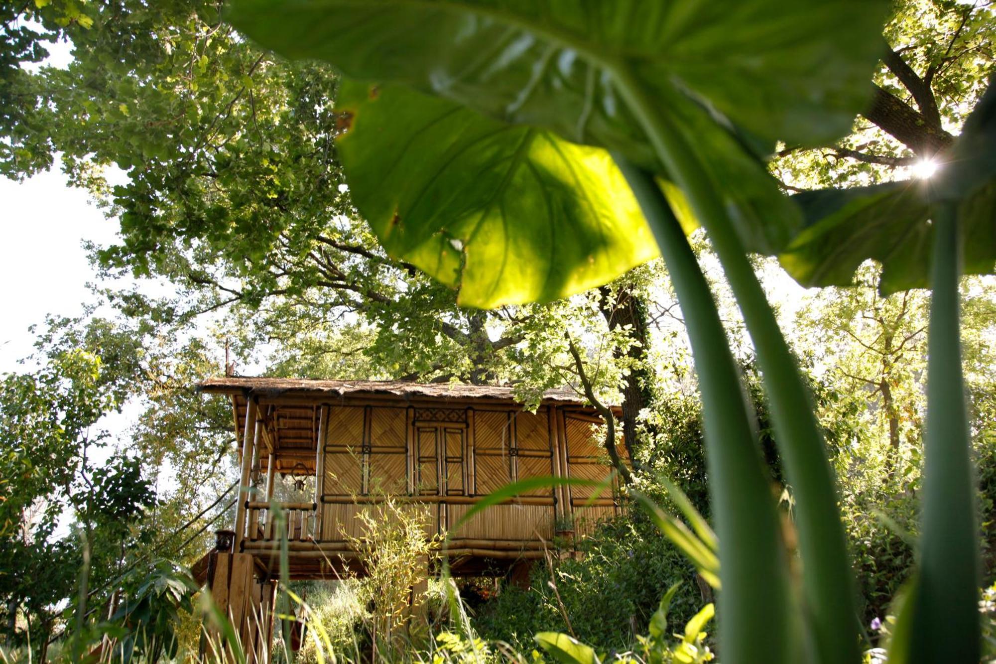Mas D'Alphonse Bed & Breakfast Aigremont Oda fotoğraf